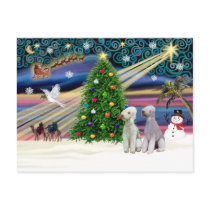 XmasMagic-Bedlington Pair postcards