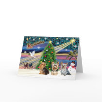XmasMagic Yorkie Trio cards by ChristmasMagicDogs XmasMagic Yorkie Trio cards