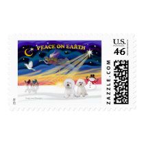 XmasSunrise-2 Bichon Frise Postage Stamps