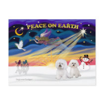 XmasSunrise-2 Bichon Frise Postcard