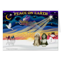 XmasSunrise--Bearded Collies 2 Cards