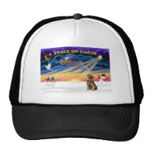 XmasSunrise-BorderTerrier1 Hat
