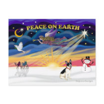 XmasSunrise-Rat Terrier postcards