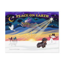 XmasSunrise-WireHaired Dachshund postcards