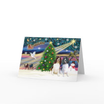 Xms Magic-2EngSpringer LivWht+Blk cards by ChristmasMagicDogs Xms Magic-2EngSpringer LivWht+Blk cards