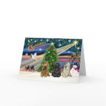 Xms Magic-3Cockers-blk-brwn-fawn Cards