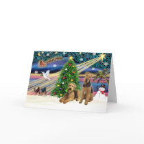 XmsMagic-AIREDALE pair cards