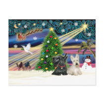 XmsMagic-Scotty-PAIR postcards