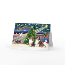XmsMagic-Sheltie-SablePair cards by ChristmasMagicDogs XmsMagic-Sheltie-SablePair cards