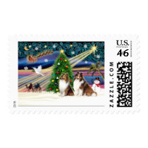 XmsMagic-Sheltie-SablePair postage by ChristmasMagicDogs XmsMagic-Sheltie-SablePair postage
