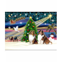 XmsMagic-Sheltie-SablePair t-shirts by ChristmasMagicDogs XmsMagic-Sheltie-SablePair t-shirts