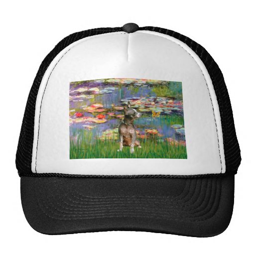 Xoloitzcuintle (Xolo) - Lilies 2 Mesh Hats