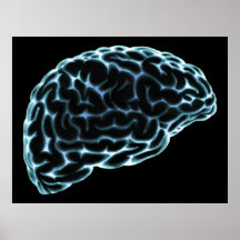 XRAY BRAIN SIDE VIEW BLUE POSTERS