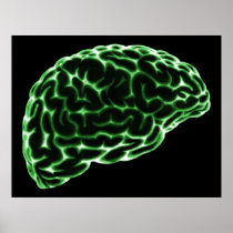 XRAY BRAIN SIDE VIEW GREEN POSTER