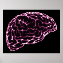 XRAY BRAIN SIDE VIEW PINK PRINT