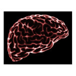 XRAY BRAIN SIDE VIEW RED