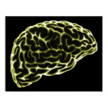 XRAY BRAIN SIDE VIEW YELLOW