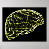 XRAY BRAIN SIDE VIEW YELLOW PRINT