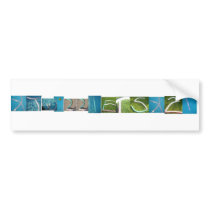 xTwizzlersx21 Pool Noodles Bumper Stickers