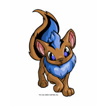 Azul de Xweetok t - shirts