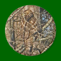 XX- Awesome Camoulflaged Hawk magnets
