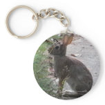 XX- Bunny Rabit Photography Design Keychains