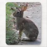 XX- Bunny Rabit Photography Design Mouse Pads