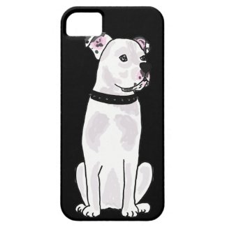 XX- Cute American Bulldog with Studded Collar