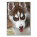 XX- Cute Siberian Husky Puppy Dog Card