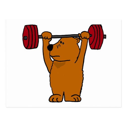 XX- Funny Brown Bear Weight Lifting Postcard | Zazzle