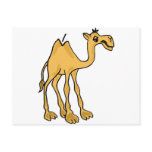 XX- Funny Camel Cartoon Post Cards