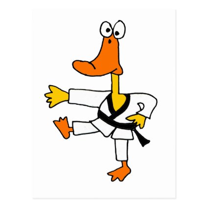 XX- Funny Martial Arts Duck Postcard
