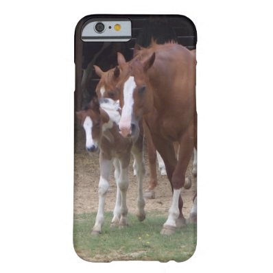 XX- Horse Photography Art Design Barely There iPhone 6 Case