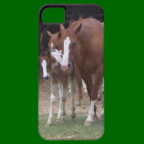 XX- Horse Photography Art Design casemate cases