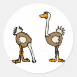 XX- Ostriches in Sand Round Sticker