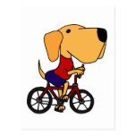 XX- Yellow Labrador Dog Riding Bicycle Cartoon Postcard