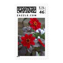 xxxxxx 946 Dahlia Stamps
