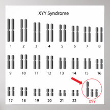 XYY, Super Male Syndrome genome Poster