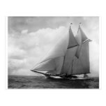 Yacht America c1910 Postcard