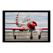 Yak-52 posters by Fight2FlyPhoto Yak-52 posters