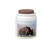 Yak Bos grunniens Bos mutus at Yamdrok Lake Candy Jars