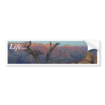 Yaki Point At The Grand Canyon bumper stickers by lifesphere Yaki Point At The Grand Canyon bumper stickers
