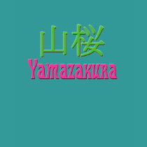 "Yamazakura" ladies T-Shirt