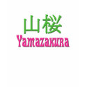 "Yamazakura" ladies T-Shirt