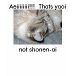 Yaoi not shonen-ai t-shirts