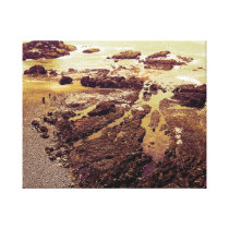 Yaquina Head Beach, Newport, Oregon Stretched Canvas Prints
