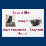 Yard Sign - Spay & Neuter Your Pets yard signs