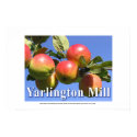 Yarlington Mill English cider apples posters