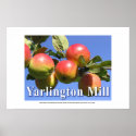 Yarlington Mill English cider apples posters