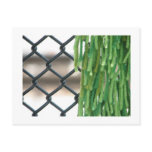 yarn and steel postcard